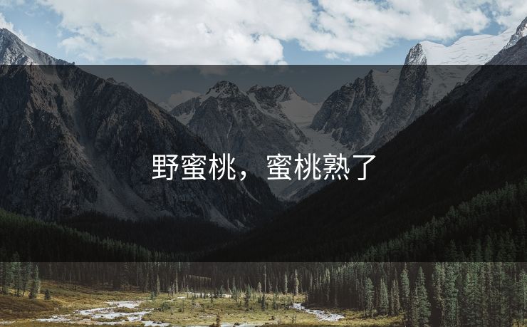 野蜜桃，蜜桃熟了