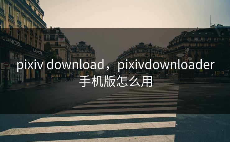 pixiv download，pixivdownloader手机版怎么用